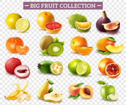 مجموعه انواع میوه