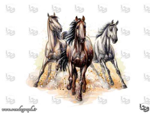 سه اسب در حال دویدن
