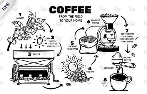 وکتور مراحل تهیه قهوه