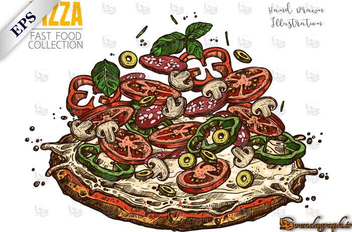 دانلود طرح وکتوری پیتزا