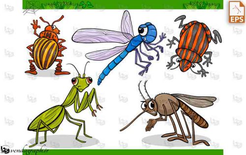 دانلود وکتور کارتونی انواع حشرات