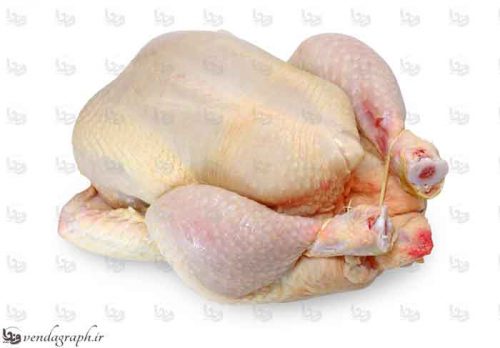 عکس استوک و با کیفیت مرغ پرکنده