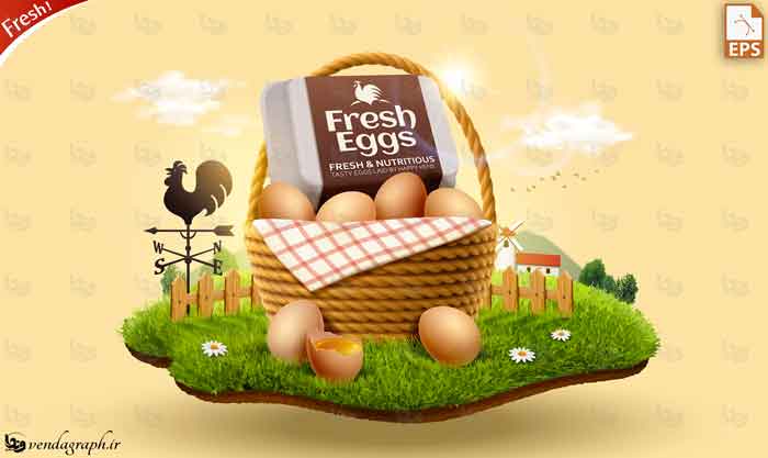 دانلود طرح وکتوری تبلیغ تخم مرغ بسته بندی شده