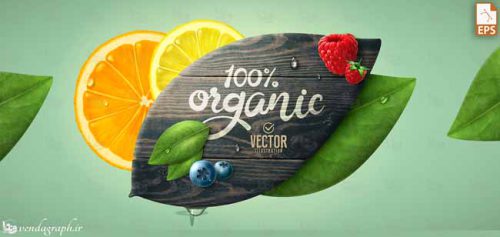 دانلود پوستر برای میوه و سبزیجات ارگانیک