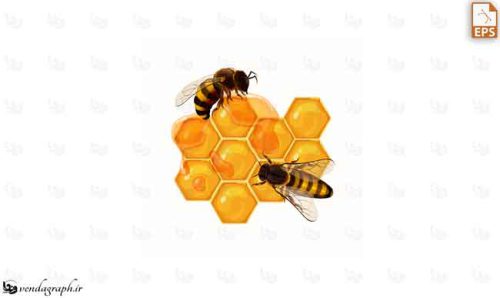 طرح وکتوری زنبور عسل و کندوی عسل