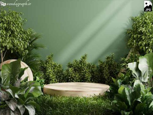 عکس استوک تنه درخت در طبیعت برای معرفی محصولات ارگانیک و طبیعی